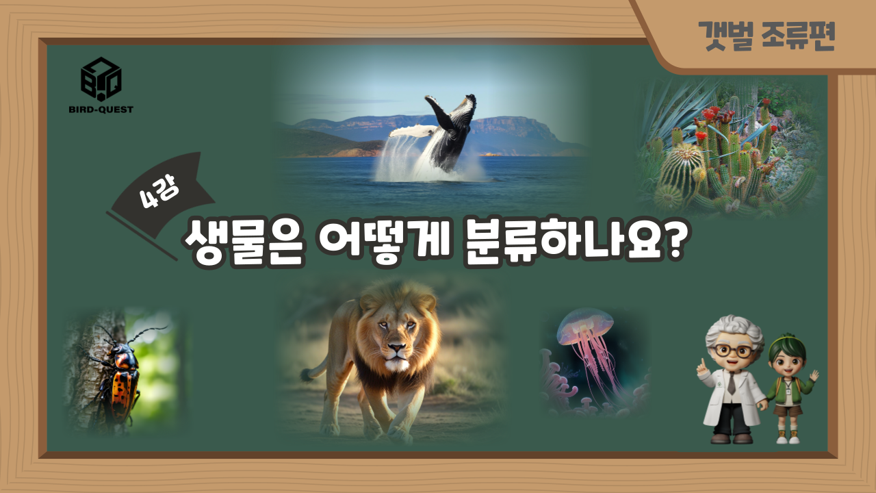0c02ff3fcf03bebee41b7bc882c79aaa_1739943500_6046.png