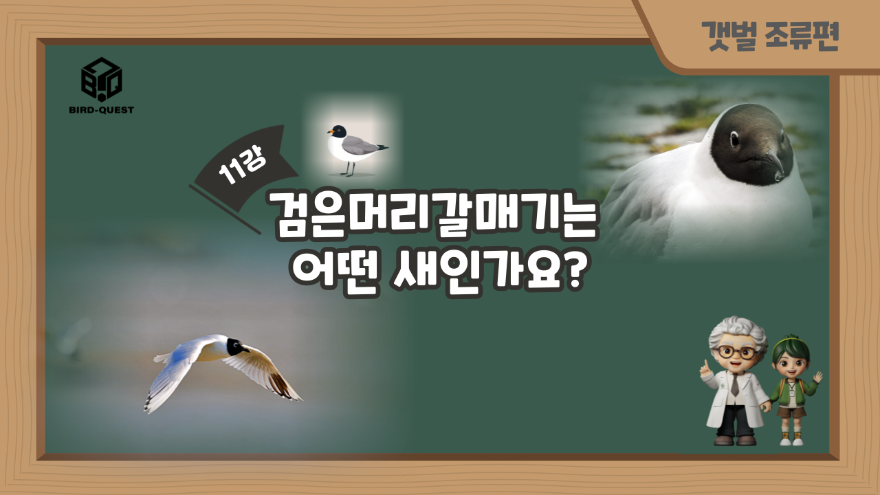 0c02ff3fcf03bebee41b7bc882c79aaa_1739943506_8657.png